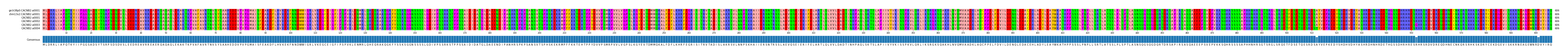 Multiple Alignments (by translate haplotype frequency)