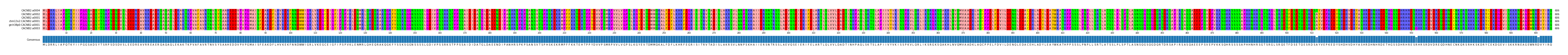 Multiple Alignments (by translate haplotype similarity)