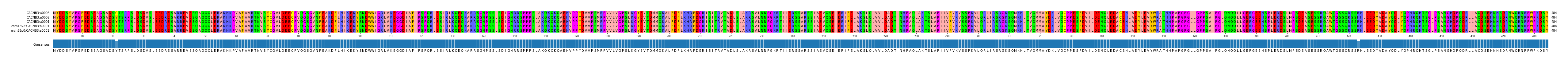 Multiple Alignments (by translate haplotype similarity)