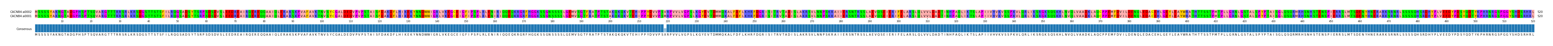 Multiple Alignments (by translate haplotype similarity)