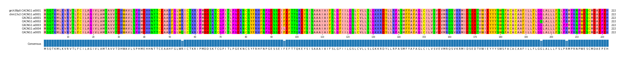 Multiple Alignments (by translate haplotype frequency)