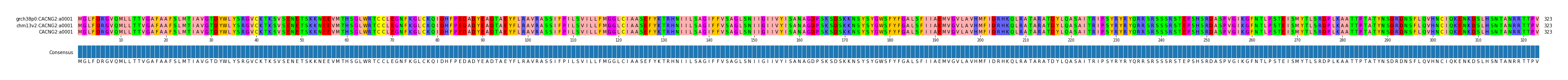 Multiple Alignments (by translate haplotype similarity)
