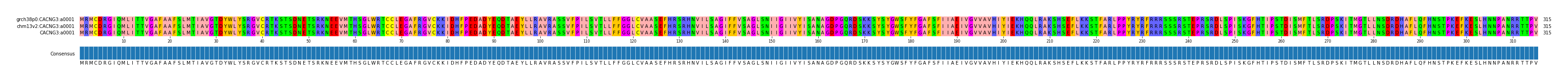 Multiple Alignments (by translate haplotype similarity)