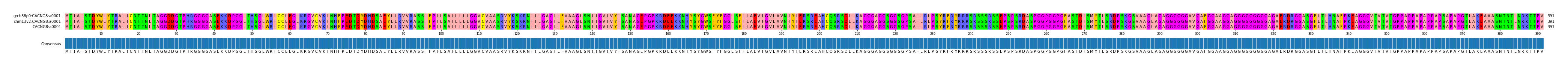 Multiple Alignments (by translate haplotype similarity)