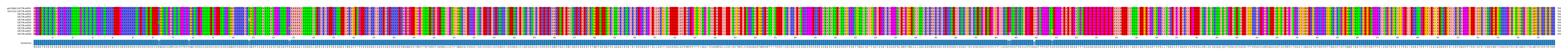 Multiple Alignments (by translate haplotype frequency)