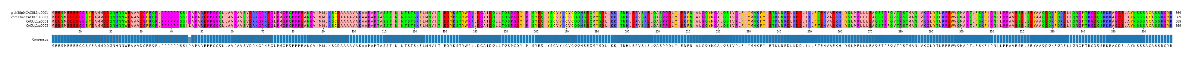 Multiple Alignments (by translate haplotype similarity)