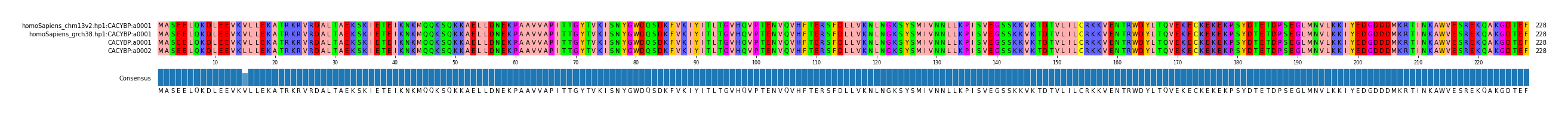 Multiple Alignments (by translate haplotype similarity)