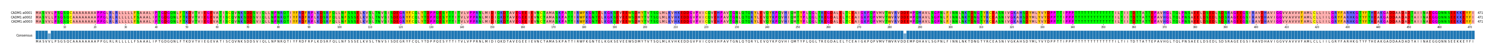 Multiple Alignments (by translate haplotype frequency)