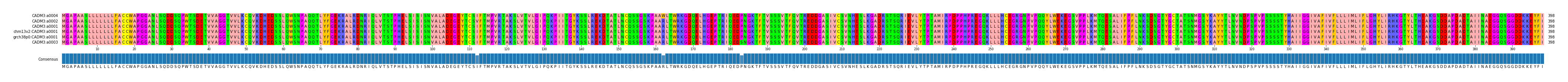 Multiple Alignments (by translate haplotype similarity)