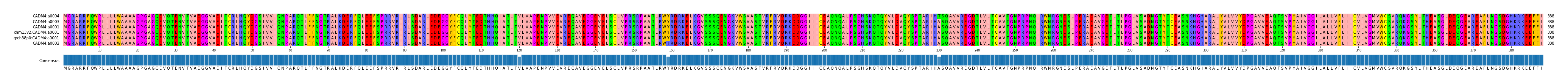 Multiple Alignments (by translate haplotype similarity)