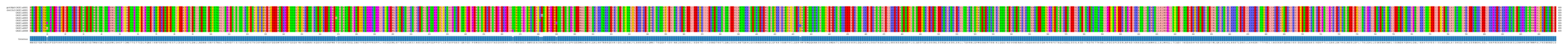Multiple Alignments (by translate haplotype frequency)