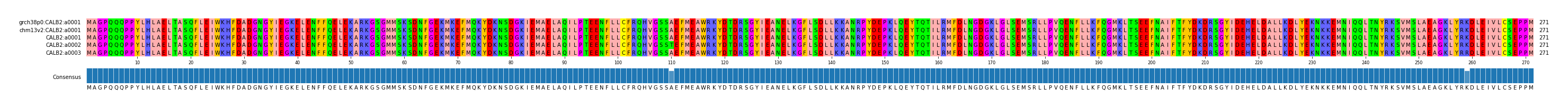 Multiple Alignments (by translate haplotype frequency)