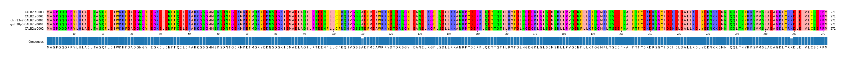 Multiple Alignments (by translate haplotype similarity)