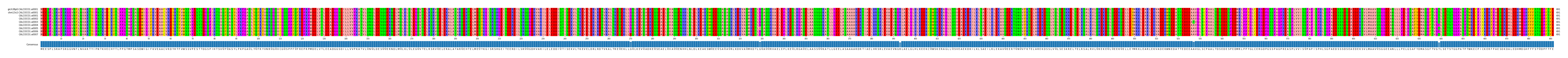 Multiple Alignments (by translate haplotype frequency)