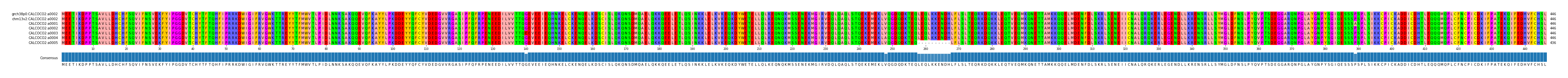 Multiple Alignments (by translate haplotype frequency)