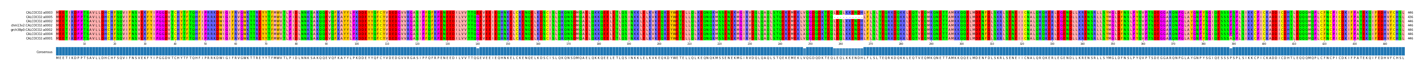 Multiple Alignments (by translate haplotype similarity)