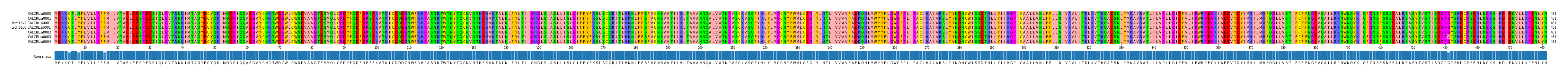 Multiple Alignments (by translate haplotype similarity)