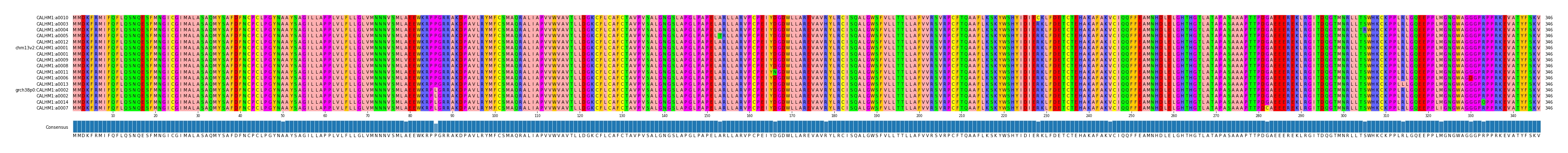 Multiple Alignments (by translate haplotype similarity)