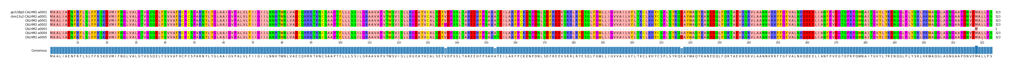 Multiple Alignments (by translate haplotype frequency)