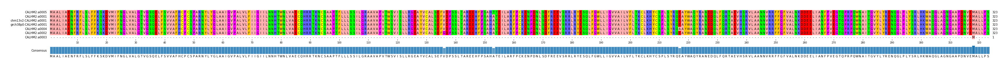 Multiple Alignments (by translate haplotype similarity)