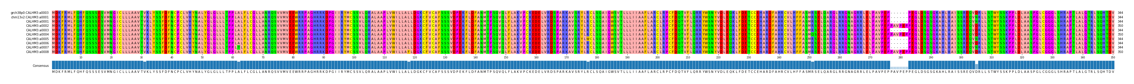 Multiple Alignments (by translate haplotype frequency)