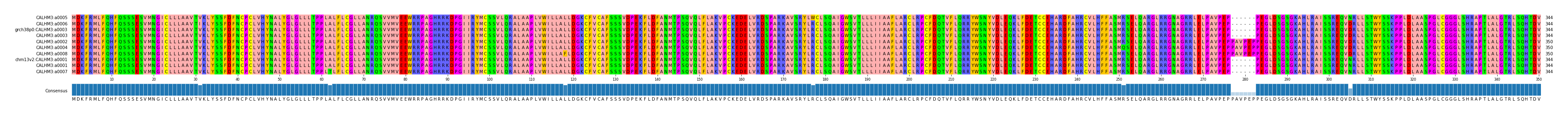 Multiple Alignments (by translate haplotype similarity)