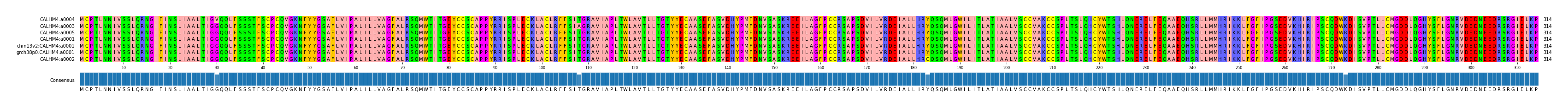 Multiple Alignments (by translate haplotype similarity)