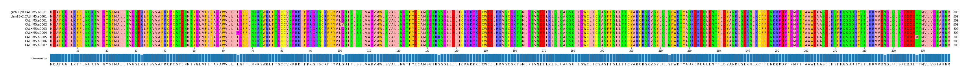 Multiple Alignments (by translate haplotype frequency)