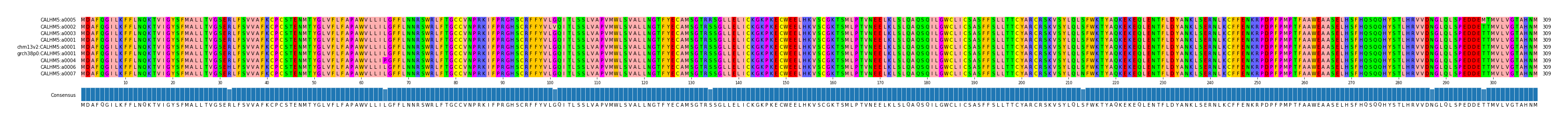 Multiple Alignments (by translate haplotype similarity)