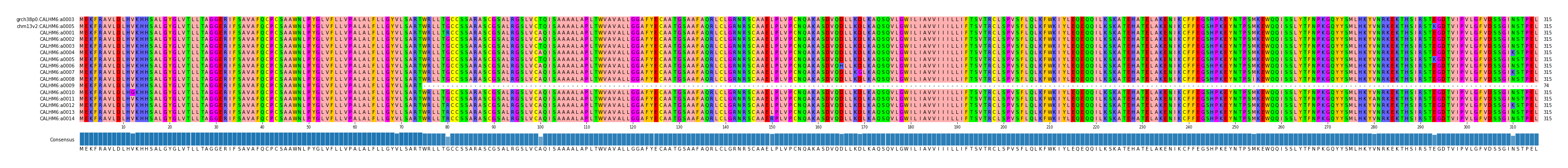 Multiple Alignments (by translate haplotype frequency)