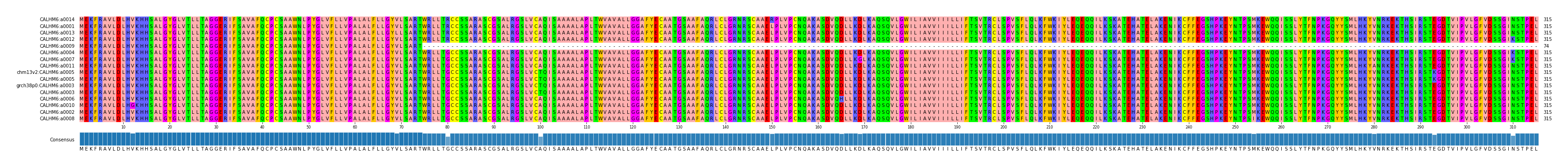 Multiple Alignments (by translate haplotype similarity)