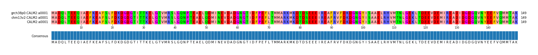 Multiple Alignments (by translate haplotype similarity)