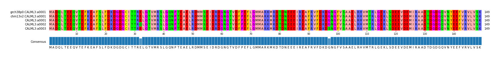 Multiple Alignments (by translate haplotype frequency)