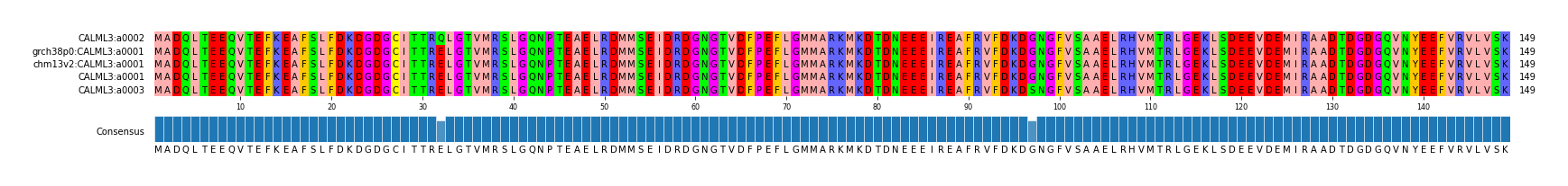 Multiple Alignments (by translate haplotype similarity)