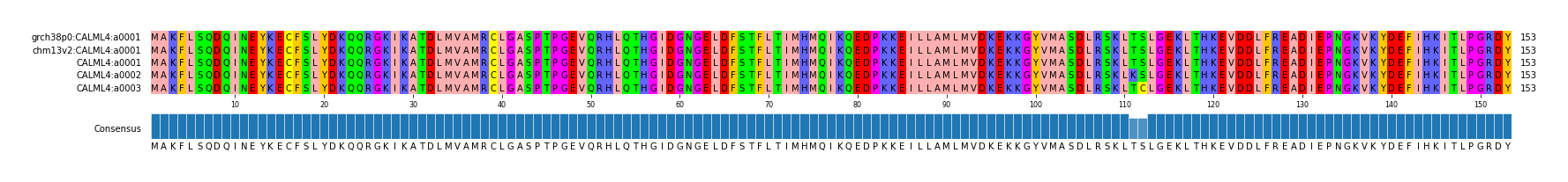 Multiple Alignments (by translate haplotype frequency)