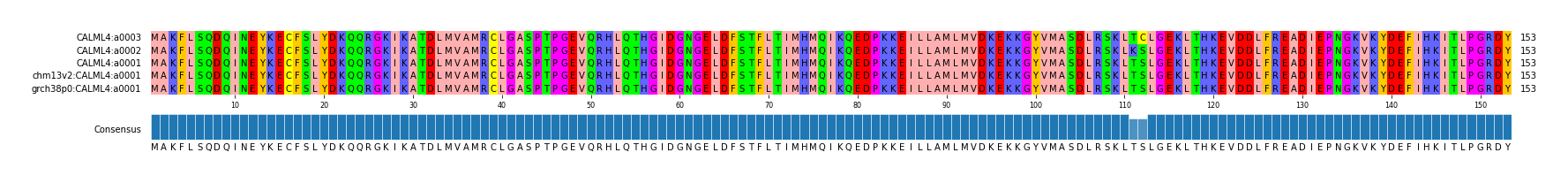 Multiple Alignments (by translate haplotype similarity)