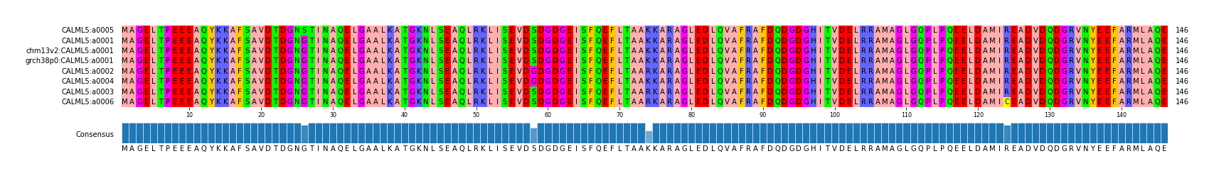 Multiple Alignments (by translate haplotype similarity)