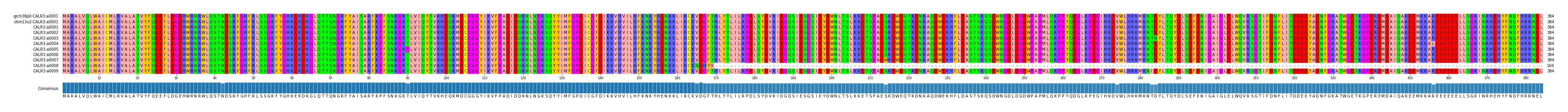 Multiple Alignments (by translate haplotype frequency)
