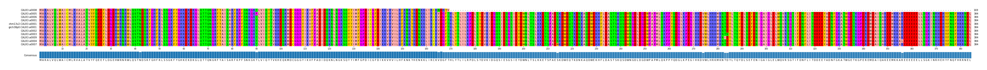 Multiple Alignments (by translate haplotype similarity)
