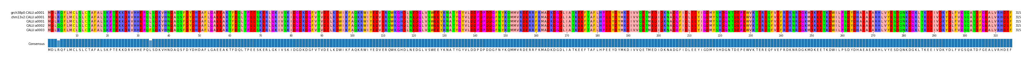 Multiple Alignments (by translate haplotype frequency)