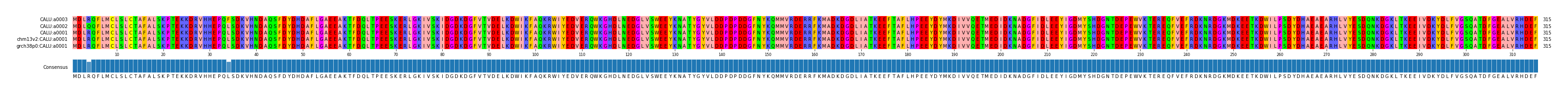 Multiple Alignments (by translate haplotype similarity)