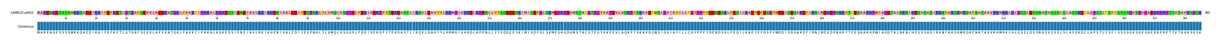 Multiple Alignments (by translate haplotype frequency)
