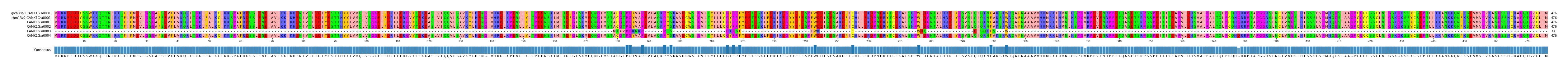 Multiple Alignments (by translate haplotype frequency)