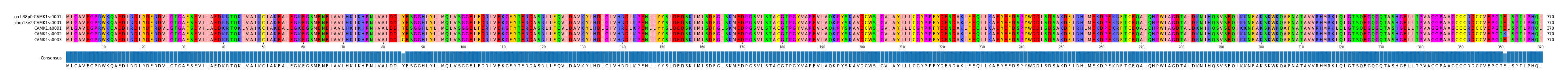 Multiple Alignments (by translate haplotype frequency)
