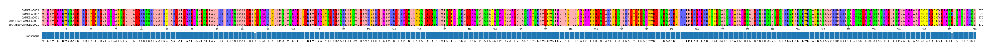 Multiple Alignments (by translate haplotype similarity)