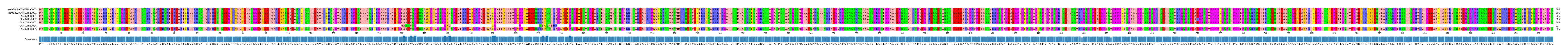 Multiple Alignments (by translate haplotype frequency)