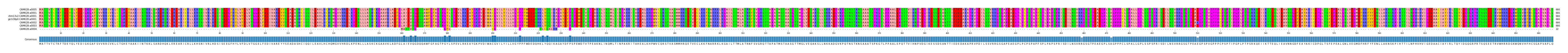 Multiple Alignments (by translate haplotype similarity)