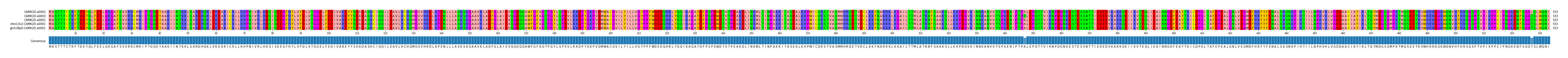 Multiple Alignments (by translate haplotype similarity)