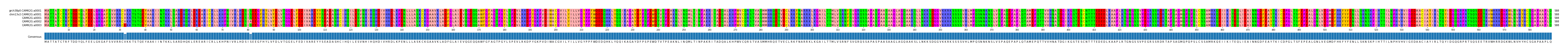 Multiple Alignments (by translate haplotype frequency)