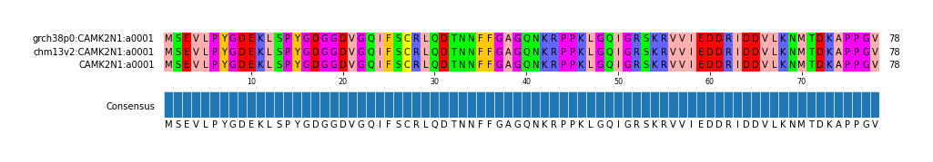 Multiple Alignments (by translate haplotype similarity)